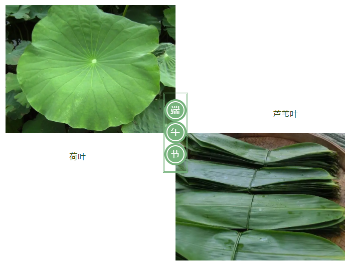 美狮贵宾会医纺