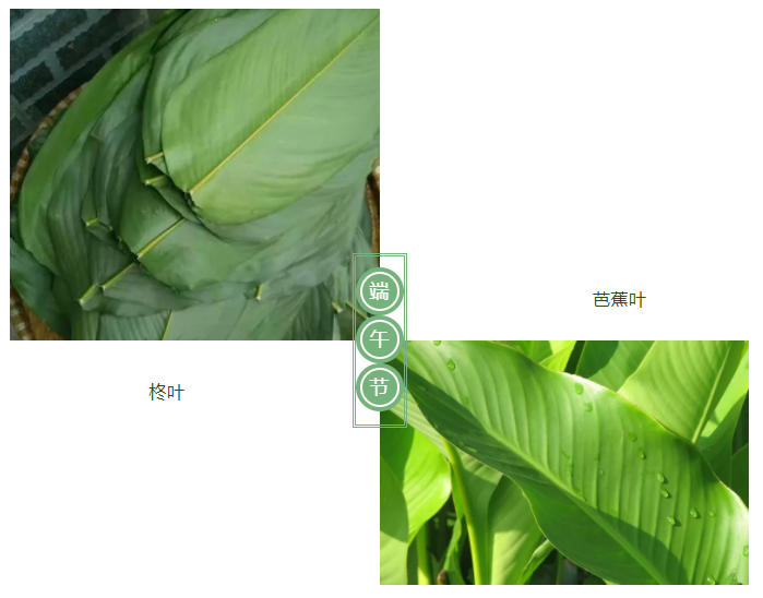 美狮贵宾会医纺