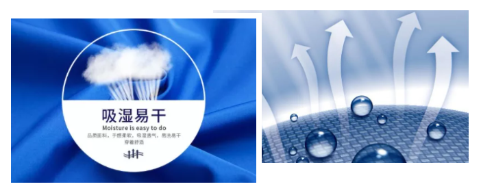 美狮贵宾会医纺