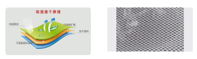 美狮贵宾会医用纺织