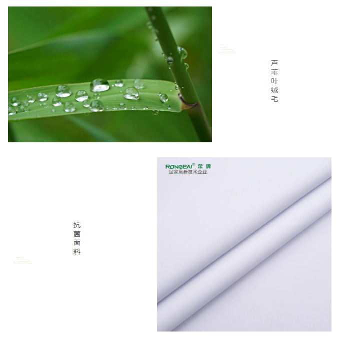 美狮贵宾会医纺