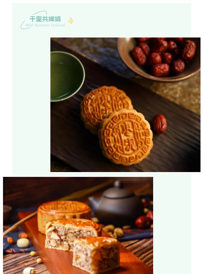 美狮贵宾会医纺